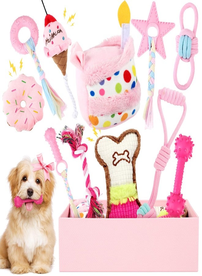 RoundFunny 11 Pcs Dog Birthday Toy Gift for Dog Birthday Cake Puppy Girl Boy Squeak Toys Interactive Puppy Gift with Box for Small Medium Size(Classic,Pink) - Image 1